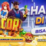 link bali Profile Picture