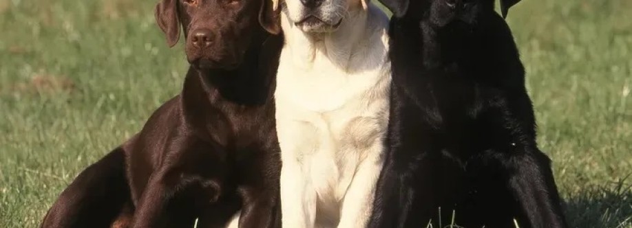 Daniel Walker Cover Image