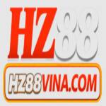 HZ88 VINA Profile Picture