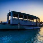 dynamic sled Profile Picture