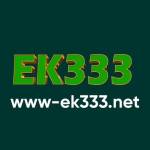 E K333 Profile Picture