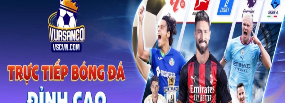 Vua SanCo Cover Image