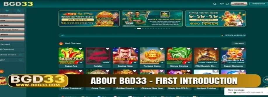 Wwwbgd33 net Cover Image