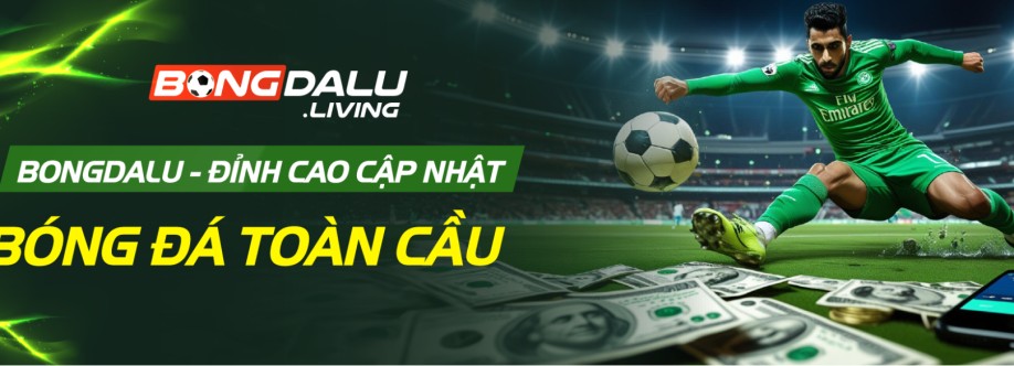 BONGDA LU Cover Image