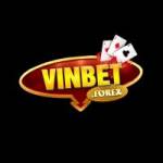 VINBET Forex Profile Picture