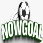 Nowgoal hu net profile picture
