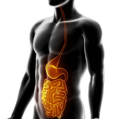 Clotrimazole API manufacturer, exporter and supplier in India