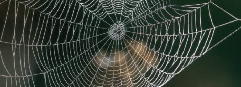 Modern Pest Solutions Cover Image