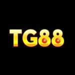 Tg88 Bet Profile Picture