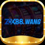 zx88 wang Profile Picture