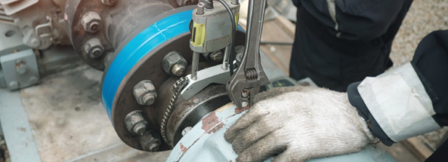 SMS Pumps and Engineers Cover Image