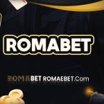 nil fileboroo Profile Picture