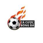 TrangCaCuoc BongDa Profile Picture