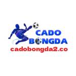 CÁ ĐỘ BÓNG ĐÁ Profile Picture