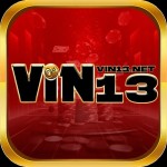 vin13 net Profile Picture
