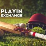 play exch Profile Picture