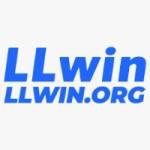 LLwin Org profile picture