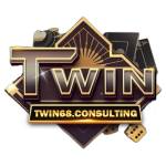 TWIN68 consulting Profile Picture
