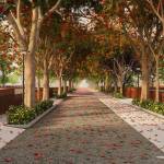 Tangled Up In Green profile picture