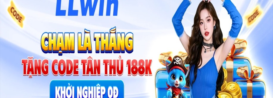 Llwin cfd Cover Image