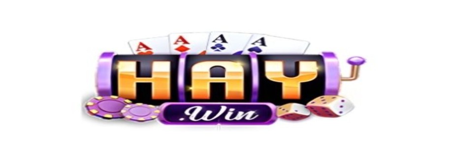 Haywin1 network Cover Image