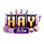 Haywin Casino Online Đa Dạng Profile Picture