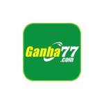 ganha77 bet Profile Picture