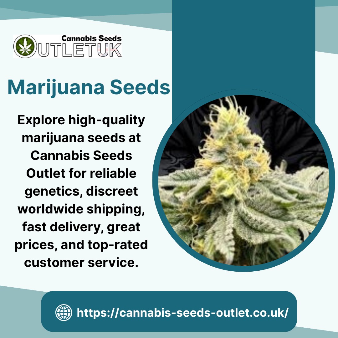 Marijuana Seeds Explained: From Origin to Modern B..