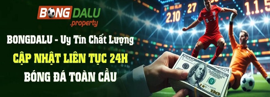 Bongda lu Cover Image