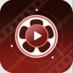 Vincent Fatman Profile Picture