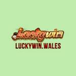 luckywin wales Profile Picture