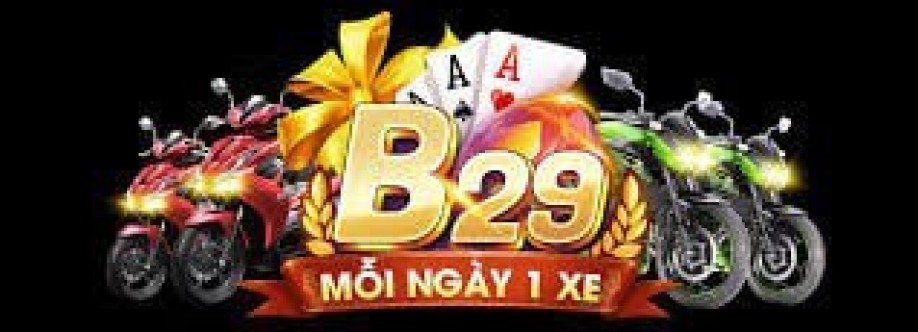 b29 finance Cover Image