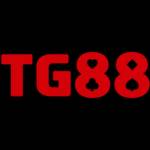 TG88 COM Profile Picture