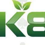 nk88 boo Profile Picture