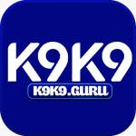 k9k9 guru Profile Picture