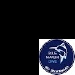 bluemarl indive6 Profile Picture