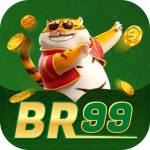 br99 Profile Picture