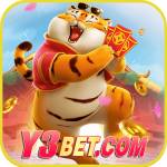 Y3Bet org Profile Picture