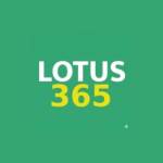 Lotus365 Games Profile Picture