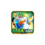 666a bet Profile Picture