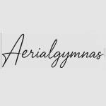 Aerialgymnas Profile Picture