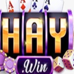 Haywin1 group Profile Picture