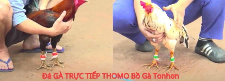 Bồ Gà Tonhon Cover Image