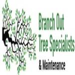 Branch Out Tree Specialist profile picture