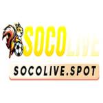 Soco live Profile Picture