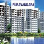 purva silver profile picture