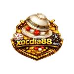 Xocdia88 study Profile Picture