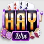 Haywin2 agency Profile Picture