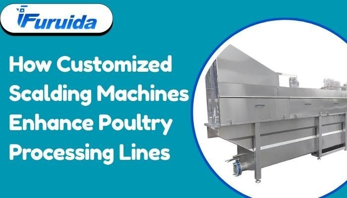 How Customized Scalding Machines Enhance Poultry Processing Lines - MindxMaster