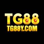 tg88y com Profile Picture